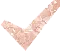 CheckMark